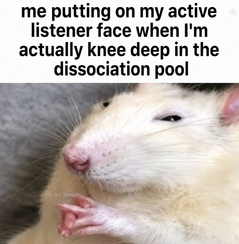 me putting on my active listener face when I'm actually knee deep in the dissociation pool @We Are Nature