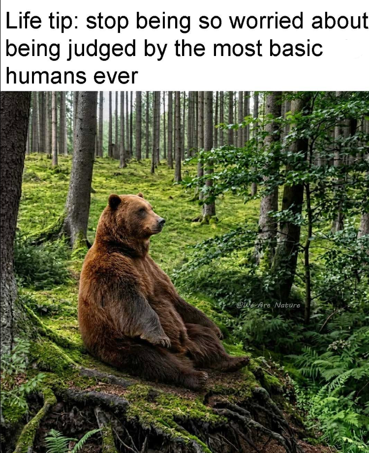 Life tip: stop being so worried about being judged by the most basic humans ever @We Are Nature