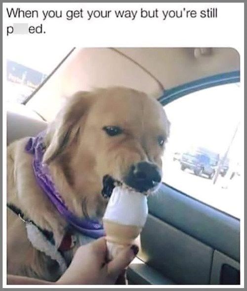 When you get your way but you're still ped.