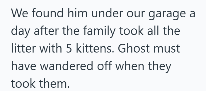 We found him under our garage a day after the family took all the litter with 5 kittens. Ghost must have wandered off when they took them.