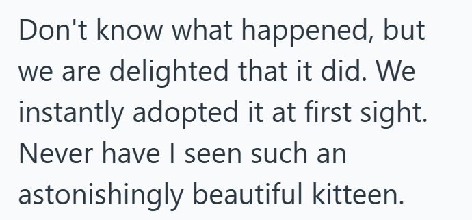 Don't know what happened, but we are delighted that it did. We instantly adopted it at first sight. Never have I seen such an astonishingly beautiful kitteen.