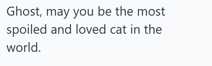 Ghost, may you be the most spoiled and loved cat in the world.