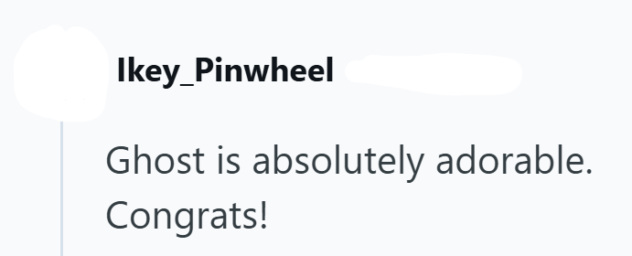 Ikey_Pinwheel Ghost is absolutely adorable. Congrats!
