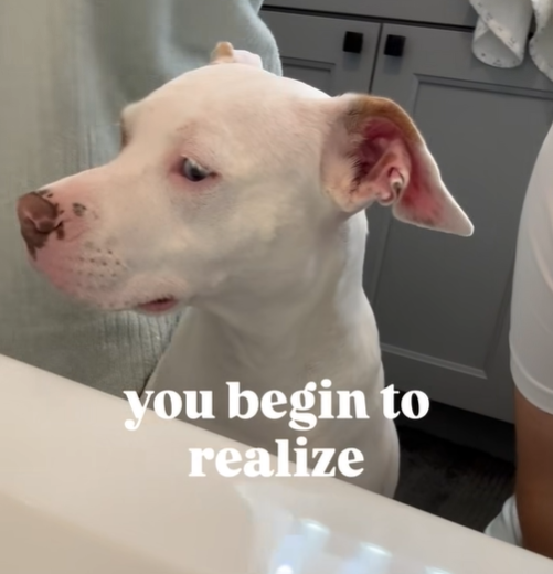 you begin to realize