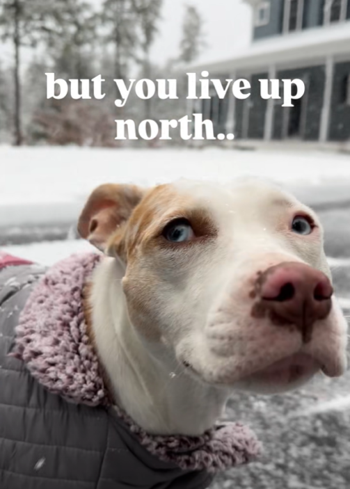 but you live up north..