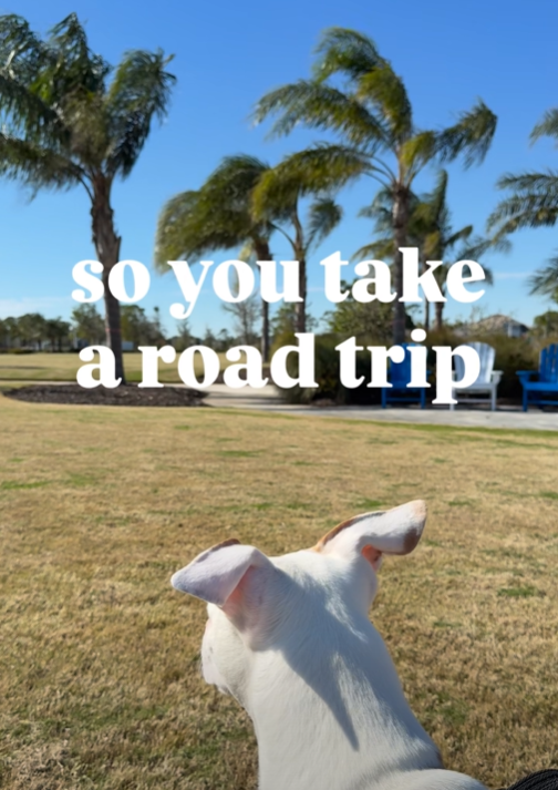So you take a road trip