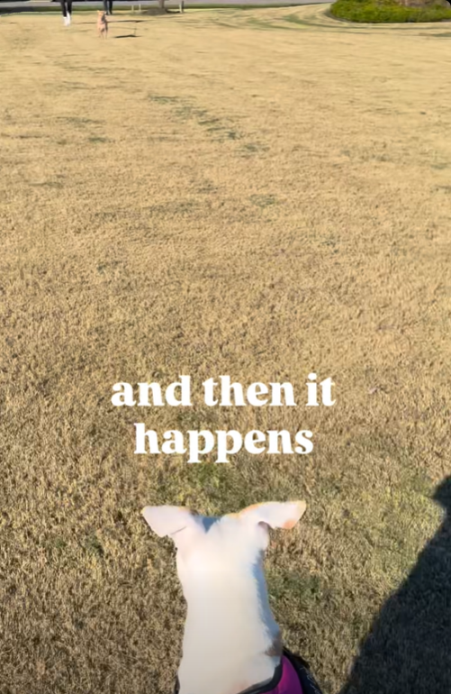 and then it happens