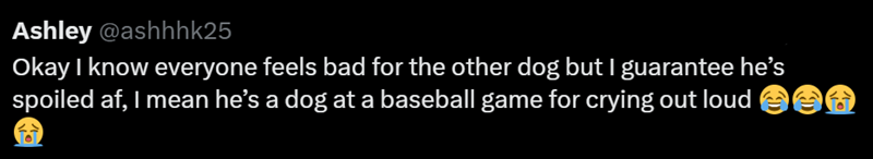 Ashley @ashhhk25 Okay I know everyone feels bad for the other dog but I guarantee he's spoiled af, I mean he's a dog at a baseball game for crying out loud