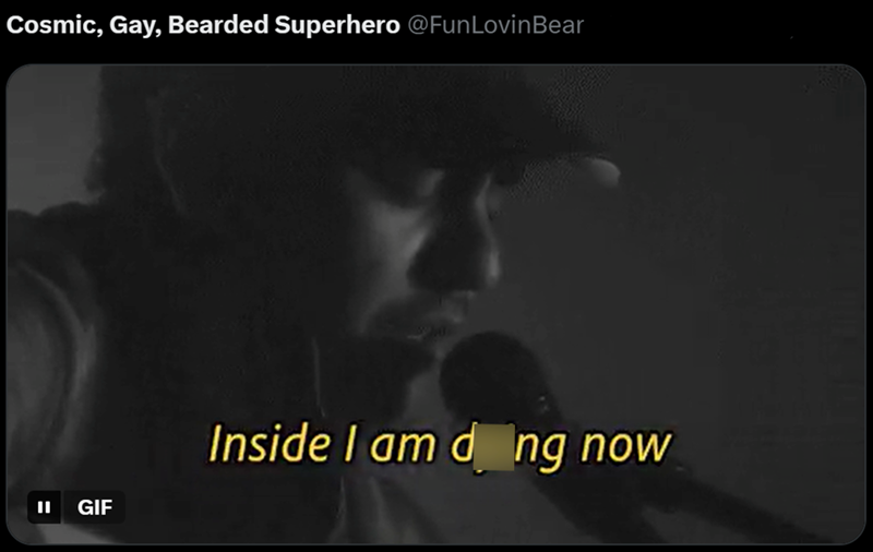 Cosmic, Gay, Bearded Superhero @FunLovin Bear II GIF Inside I am dong now