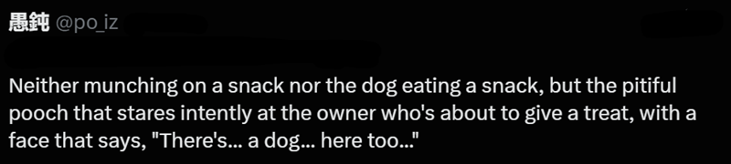 Aft@po_iz Neither munching on a snack nor the dog eating a snack, but the pitiful pooch that stares intently at the owner who's about to give a treat, with a face that says, "There's... a dog... here too..."