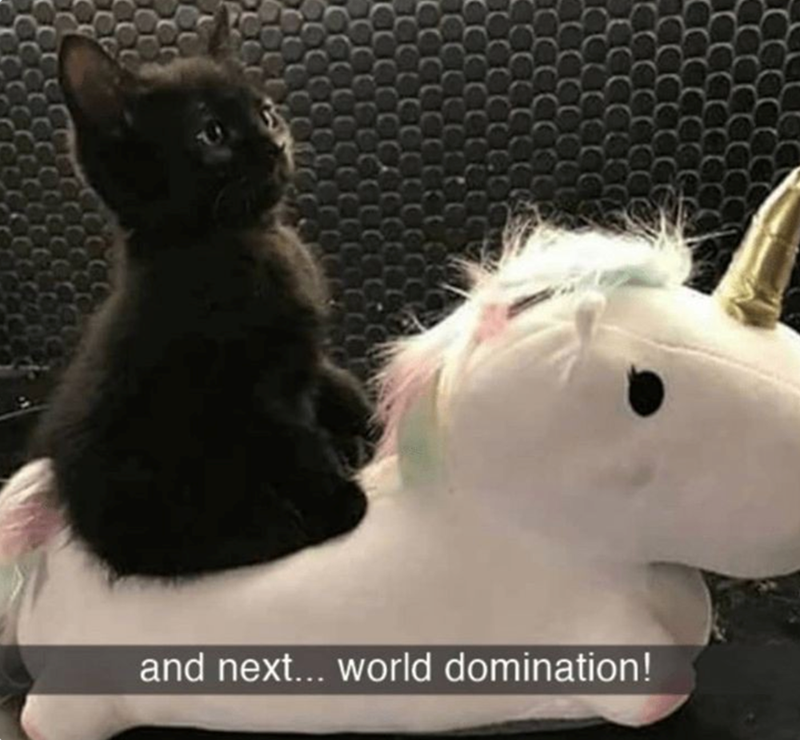 and next... world domination!