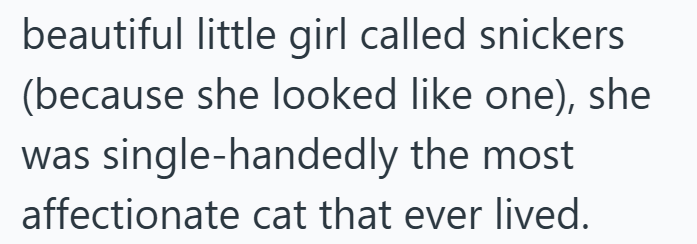 beautiful little girl called snickers (because she looked like one), she was single-handedly the most affectionate cat that ever lived.