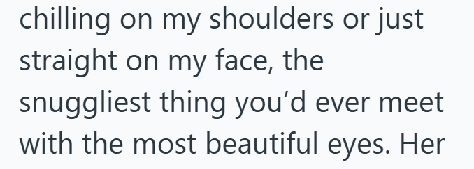 chilling on my shoulders or just straight on my face, the snuggliest thing you'd ever meet with the most beautiful eyes. Her