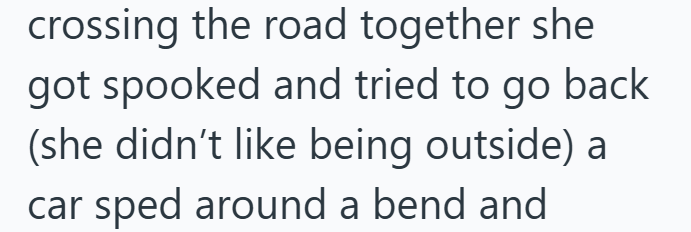 crossing the road together she got spooked and tried to go back (she didn't like being outside) a car sped around a bend and