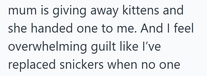 mum is giving away kittens and she handed one to me. And I feel overwhelming guilt like I've replaced snickers when no one