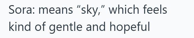 Sora: means "sky," which feels kind of gentle and hopeful