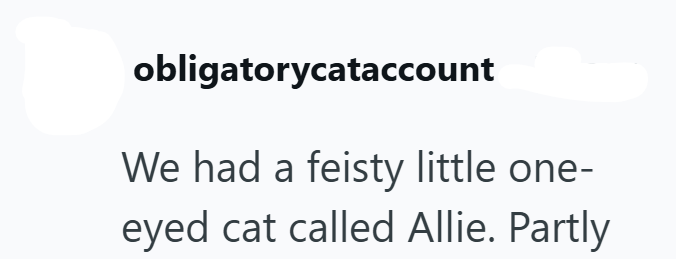 obligatorycataccount We had a feisty little one- eyed cat called Allie. Partly