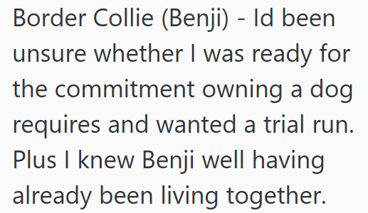 Border Collie (Benji) - Id been unsure whether I was ready for the commitment owning a dog requires and wanted a trial run. Plus I knew Benji well having already been living together.