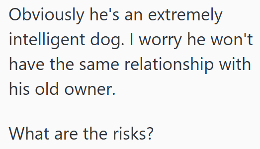Obviously he's an extremely intelligent dog. I worry he won't have the same relationship with his old owner. What are the risks?