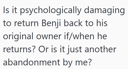Is it psychologically damaging to return Benji back to his original owner if/when he returns? Or is it just another abandonment by me?