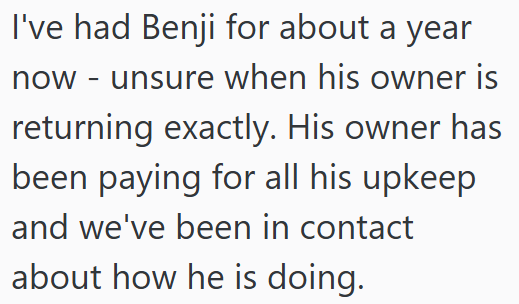 I've had Benji for about a year now - unsure when his owner is returning exactly. His owner has been paying for all his upkeep and we've been in contact about how he is doing.