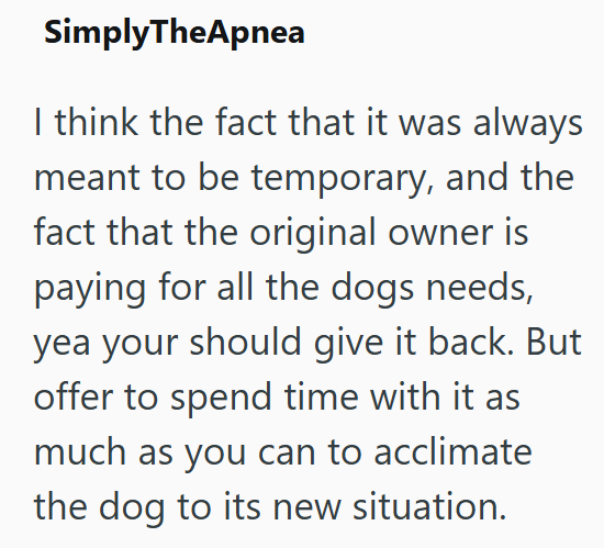 SimplyTheApnea I think the fact that it was always meant to be temporary, and the fact that the original owner is paying for all the dogs needs, yea your should give it back. But offer to spend time with it as much as you can to acclimate the dog to its new situation.