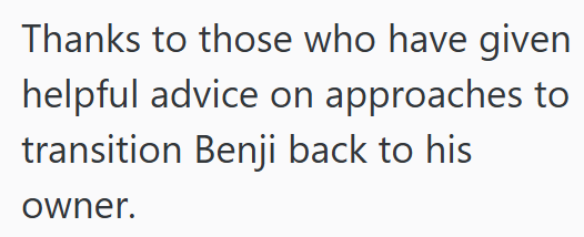 Thanks to those who have given helpful advice on approaches to transition Benji back to his owner.