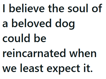 I believe the soul of a beloved dog could be reincarnated when we least expect it.