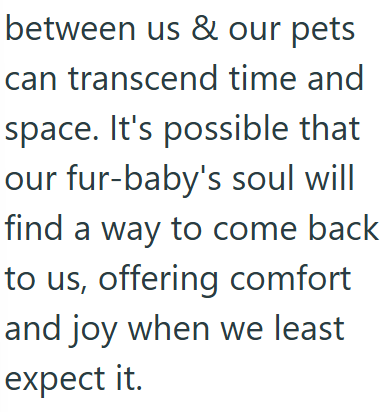between us & our pets can transcend time and space. It's possible that our fur-baby's soul will find a way to come back to us, offering comfort and joy when we least expect it.