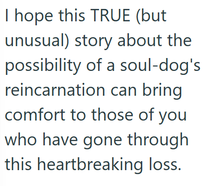 I hope this TRUE (but unusual) story about the possibility of a soul-dog's reincarnation can bring comfort to those of you who have gone through this heartbreaking loss.