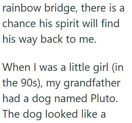 rainbow bridge, there is a chance his spirit will find his way back to me. When I was a little girl (in the 90s), my grandfather had a dog named Pluto. The dog looked like a