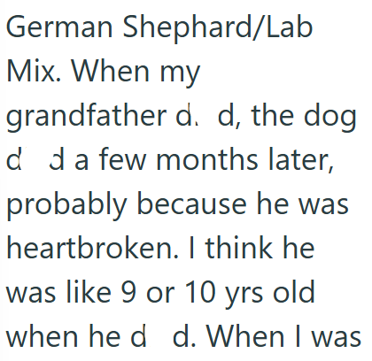 German Shephard/Lab Mix. When my grandfather d. d, the dog dd a few months later, probably because he was heartbroken. I think he was like 9 or 10 yrs old when he d d. When I was