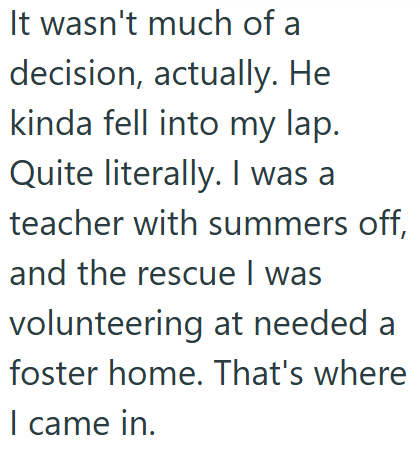 It wasn't much of a decision, actually. He kinda fell into my lap. Quite literally. I was a teacher with summers off, and the rescue I was volunteering at needed a foster home. That's where I came in.