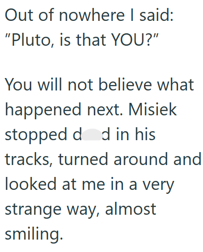 Out of nowhere I said: "Pluto, is that YOU?" You will not believe what happened next. Misiek stopped d d in his tracks, turned around and looked at me in a very strange way, almost smiling.