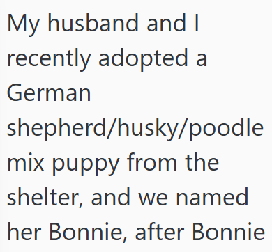 My husband and I recently adopted a German shepherd/husky/poodle mix puppy from the shelter, and we named her Bonnie, after Bonnie