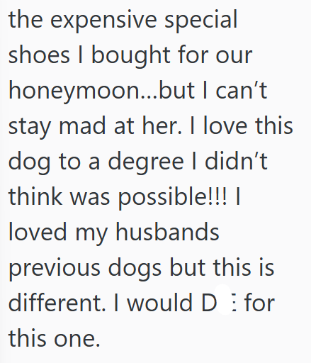 the expensive special shoes I bought for our honeymoon...but I can't. stay mad at her. I love this dog to a degree I didn't think was possible!!! | loved my husbands previous dogs but this is different. I would D for this one.