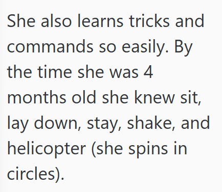 She also learns tricks and commands so easily. By the time she was 4 months old she knew sit, lay down, stay, shake, and helicopter (she spins in circles).