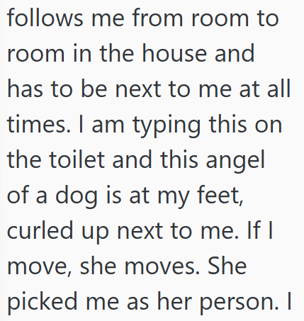 follows me from room to room in the house and has to be next to me at all times. I am typing this on the toilet and this angel of a dog is at my feet, curled up next to me. If I move, she moves. She picked me as her person. I