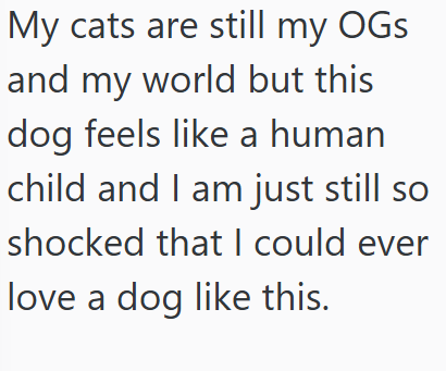 My cats are still my OGS and my world but this dog feels like a human child and I am just still so shocked that I could ever love a dog like this.