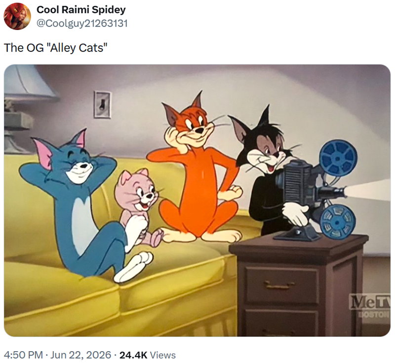 Cool Raimi Spidey @Coolguy21263131 The OG "Alley Cats" • 4:50 PM ⚫ Jun 22, 2026 · 24.4K Views MeT DOSTON