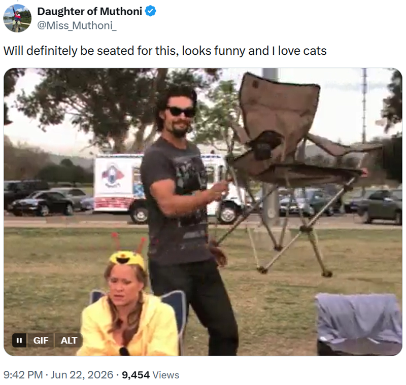 Daughter of Muthoni @Miss_Muthoni_ Will definitely be seated for this, looks funny and I love cats II GIF ALT 9:42 PM Jun 22, 2026 9,454 Views