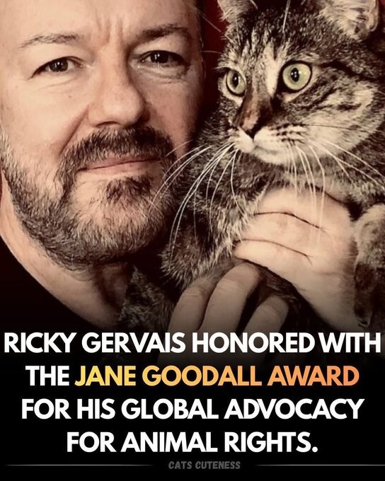 RICKY GERVAIS HONORED WITH THE JANE GOODALL AWARD FOR HIS GLOBAL ADVOCACY FOR ANIMAL RIGHTS. CATS CUTENESS