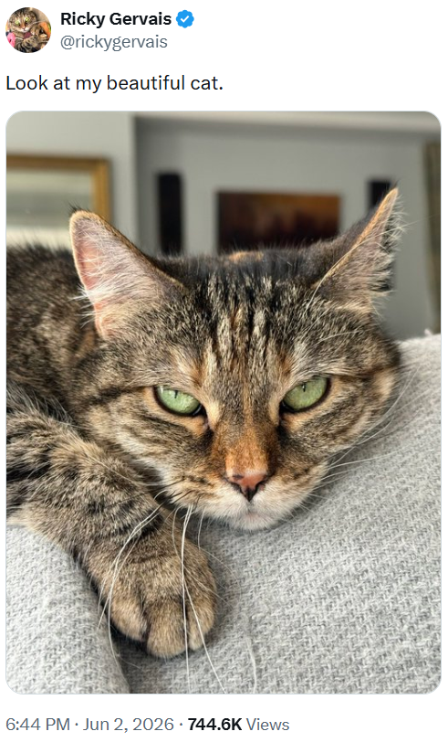 Ricky Gervais @rickygervais Look at my beautiful cat. 6:44 PM • Jun 2, 2026 · 744.6K Views
