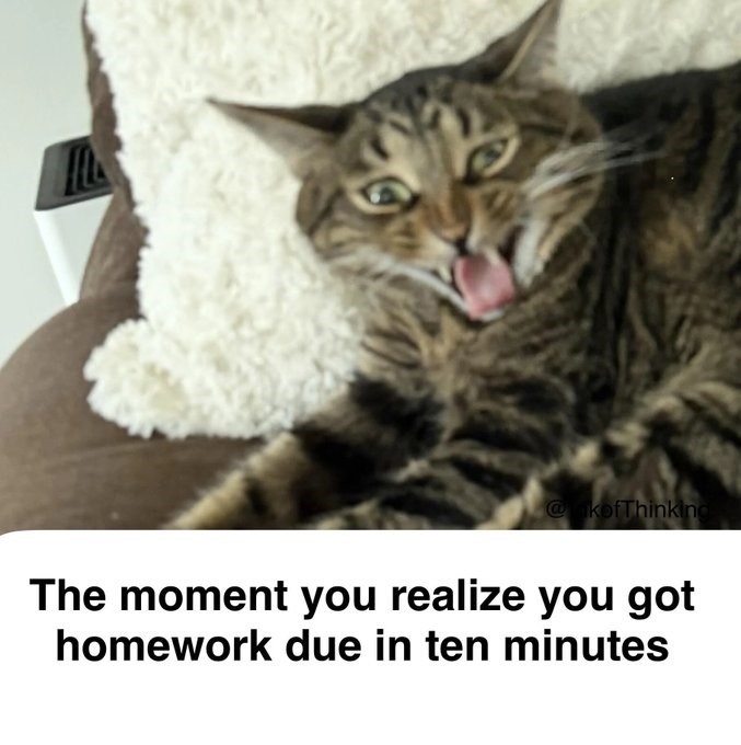@nkofThinking The moment you realize you got homework due in ten minutes