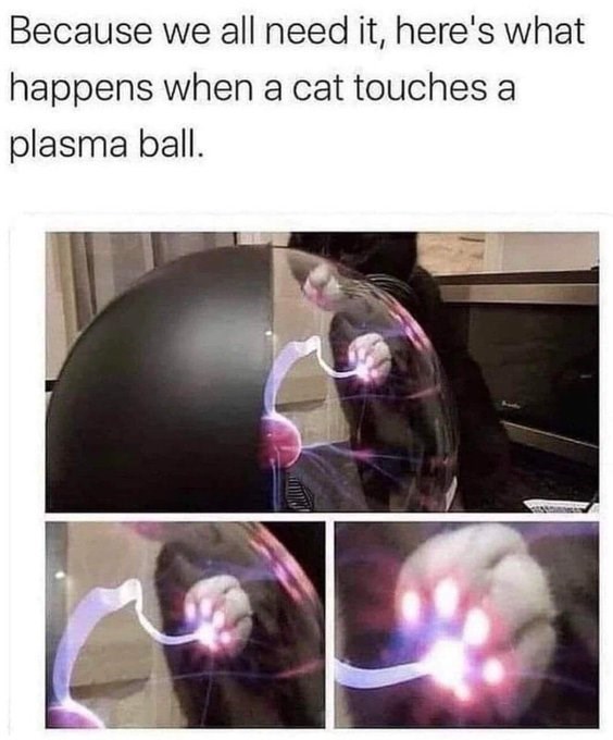 Because we all need it, here's what happens when a cat touches a plasma ball.