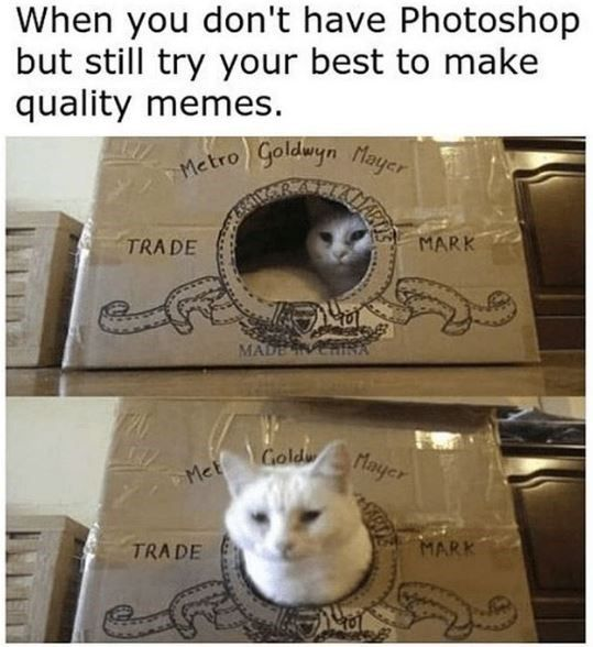 When you don't have Photoshop but still try your best to make quality memes. Metro Goldwyn Mayer TRADE MADE IN Met Gold TRADE MARK Mayer MARK