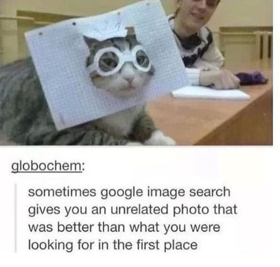 globochem: sometimes google image search gives you an unrelated photo that was better than what you were looking for in the first place