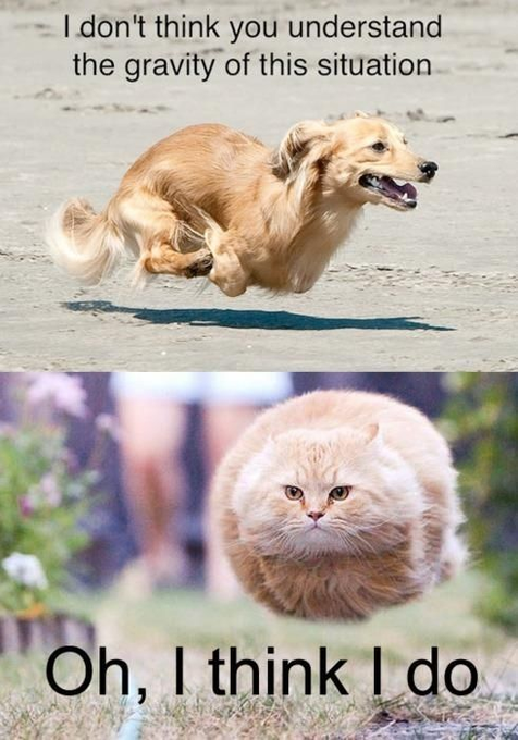 I don't think you understand the gravity of this situation. Oh, I think I do