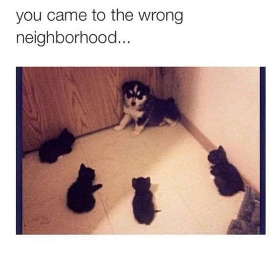 you came to the wrong neighborhood...
