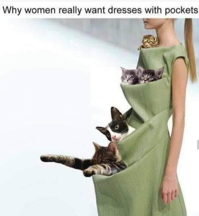 Why women really want dresses with pockets